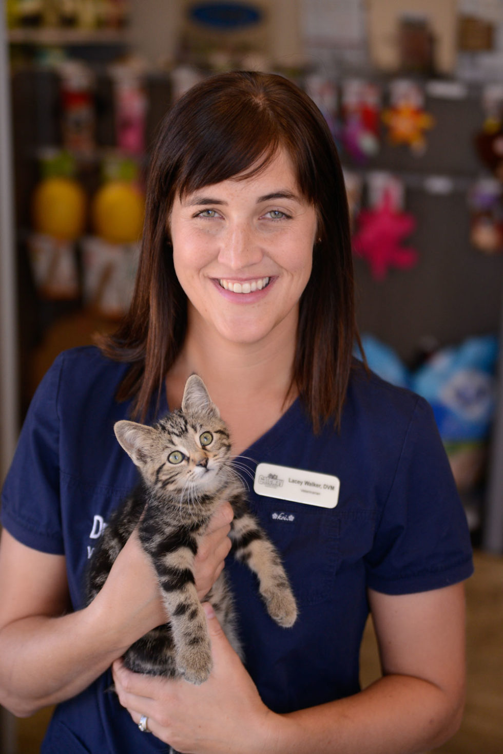 Gateway Veterinary Services Team in Melfort, Saskatchewan S0E 1A0